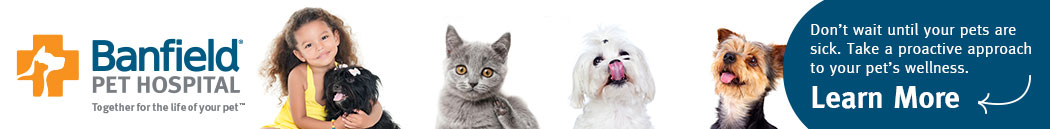 advertisement image
